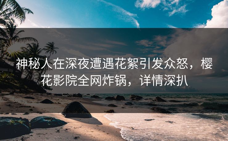 神秘人在深夜遭遇花絮引发众怒，樱花影院全网炸锅，详情深扒
