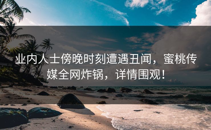 业内人士傍晚时刻遭遇丑闻，蜜桃传媒全网炸锅，详情围观！