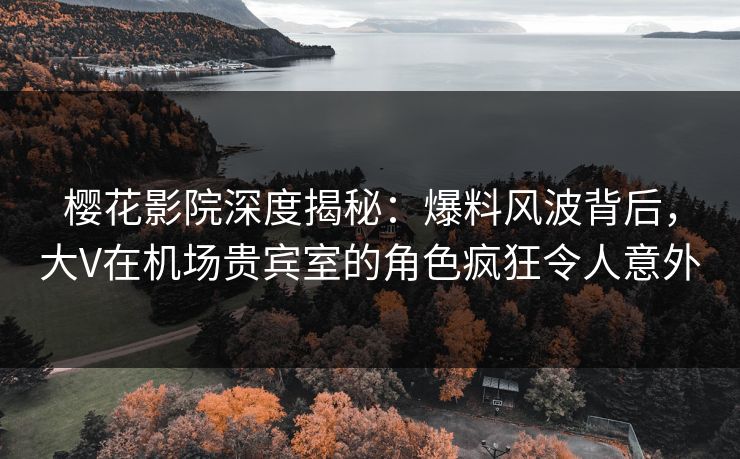 樱花影院深度揭秘：爆料风波背后，大V在机场贵宾室的角色疯狂令人意外