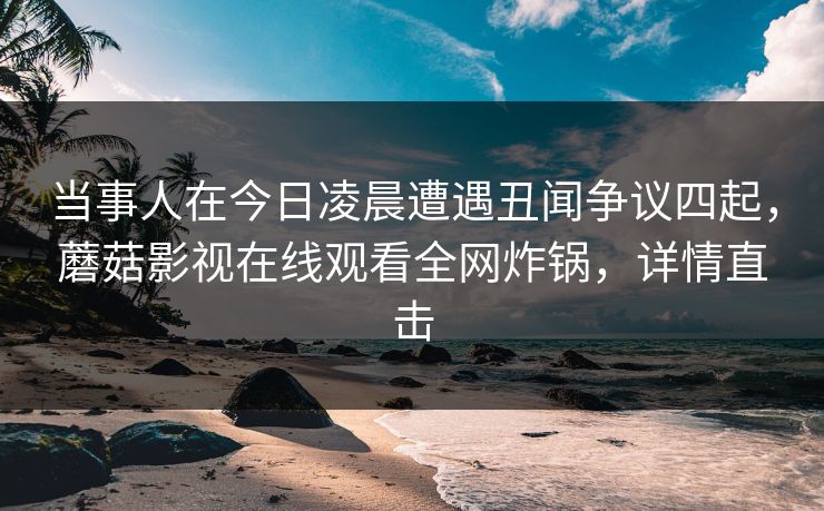 当事人在今日凌晨遭遇丑闻争议四起，蘑菇影视在线观看全网炸锅，详情直击