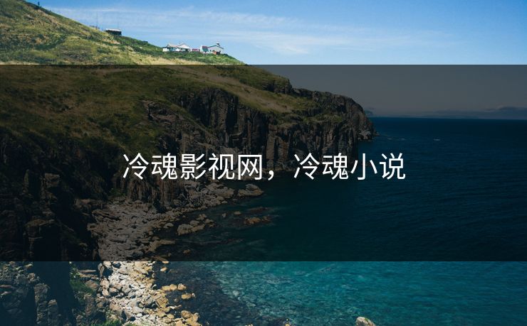 冷魂影视网，冷魂小说