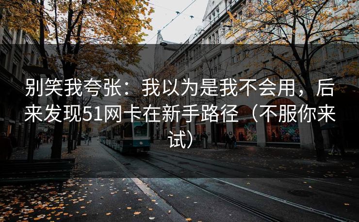 别笑我夸张：我以为是我不会用，后来发现51网卡在新手路径（不服你来试）
